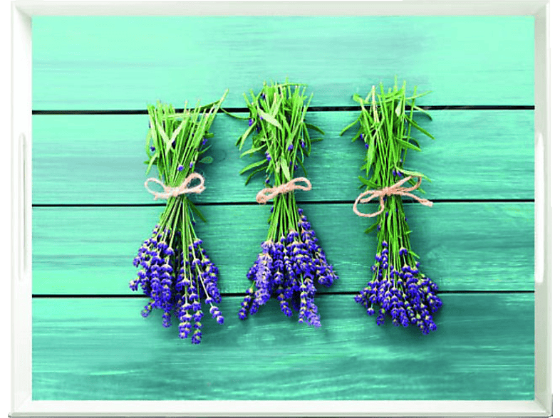 EMSA 513714 Classic Tablett Lavendel