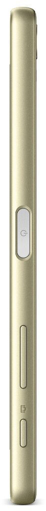 SONY Xperia X 32 GB Grün/Gold