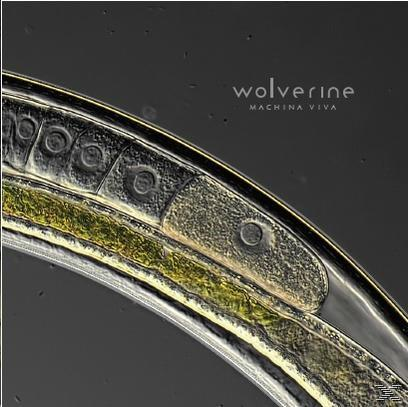 Wolverine - Machina Viva  - (CD)