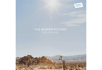 Stee Downes - The Bigger Picture  - (CD)