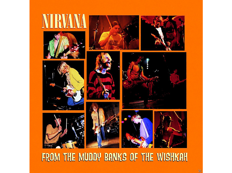 Nirvana - From The Muddy Banks Of The Wishkah Vinyl