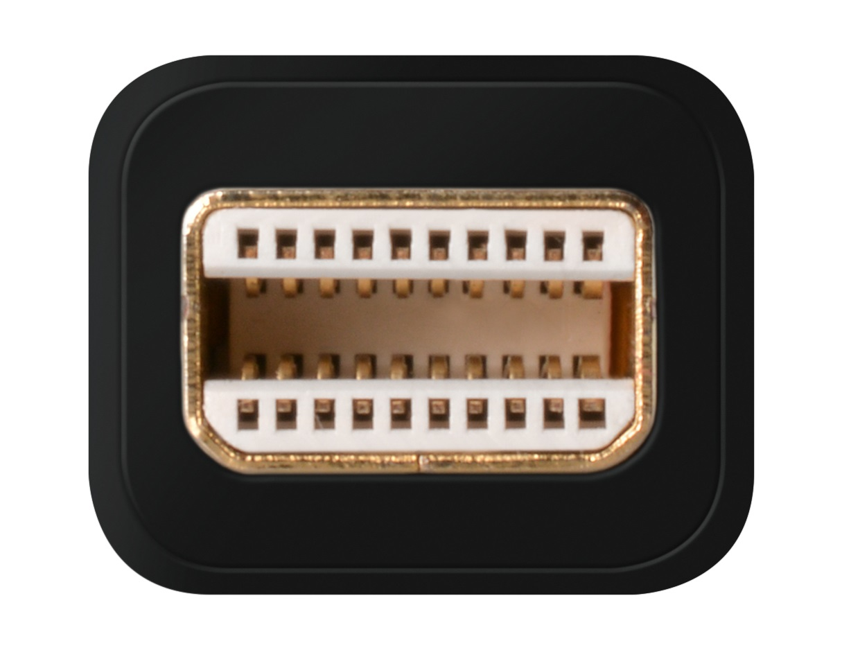 A close-up of a black DisplayPort connector with gold-colored pins, within a black frame.