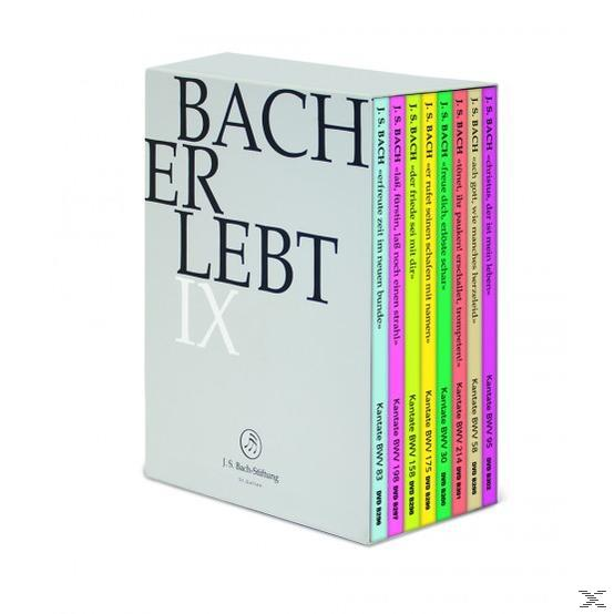 - - (DVD) Bach Erlebt VARIOUS IX
