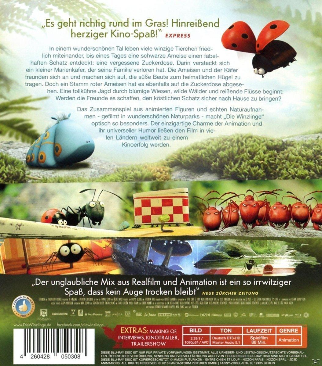 Filmcover: Animationsfilm, Zeichentrickinsekten, Marienkäfer, Text. Grünes Gras, blauer Himmel und ein Holzhaus.