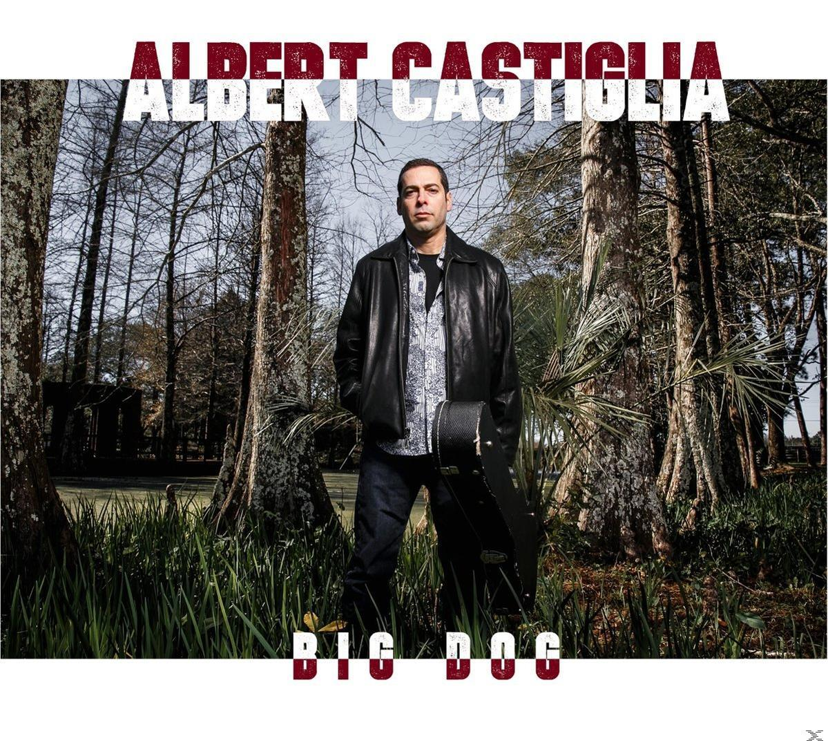 Albumcover: Mann in schwarzer Jacke, Gitarrenkoffer, steht im Gras mit Bäumen.