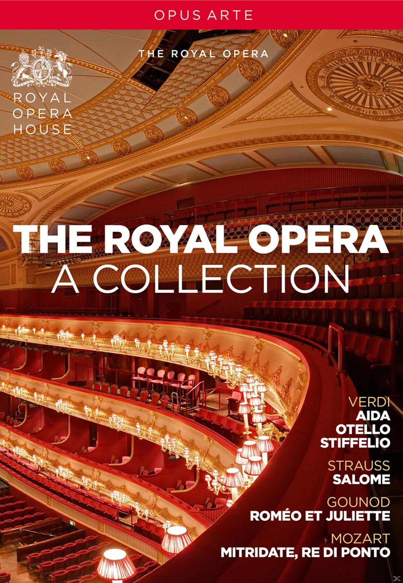 VARIOUS, Royal House Opera The Chorus Collection A The / Of (DVD) - - Orchestra Opera Opera: Royal Royal