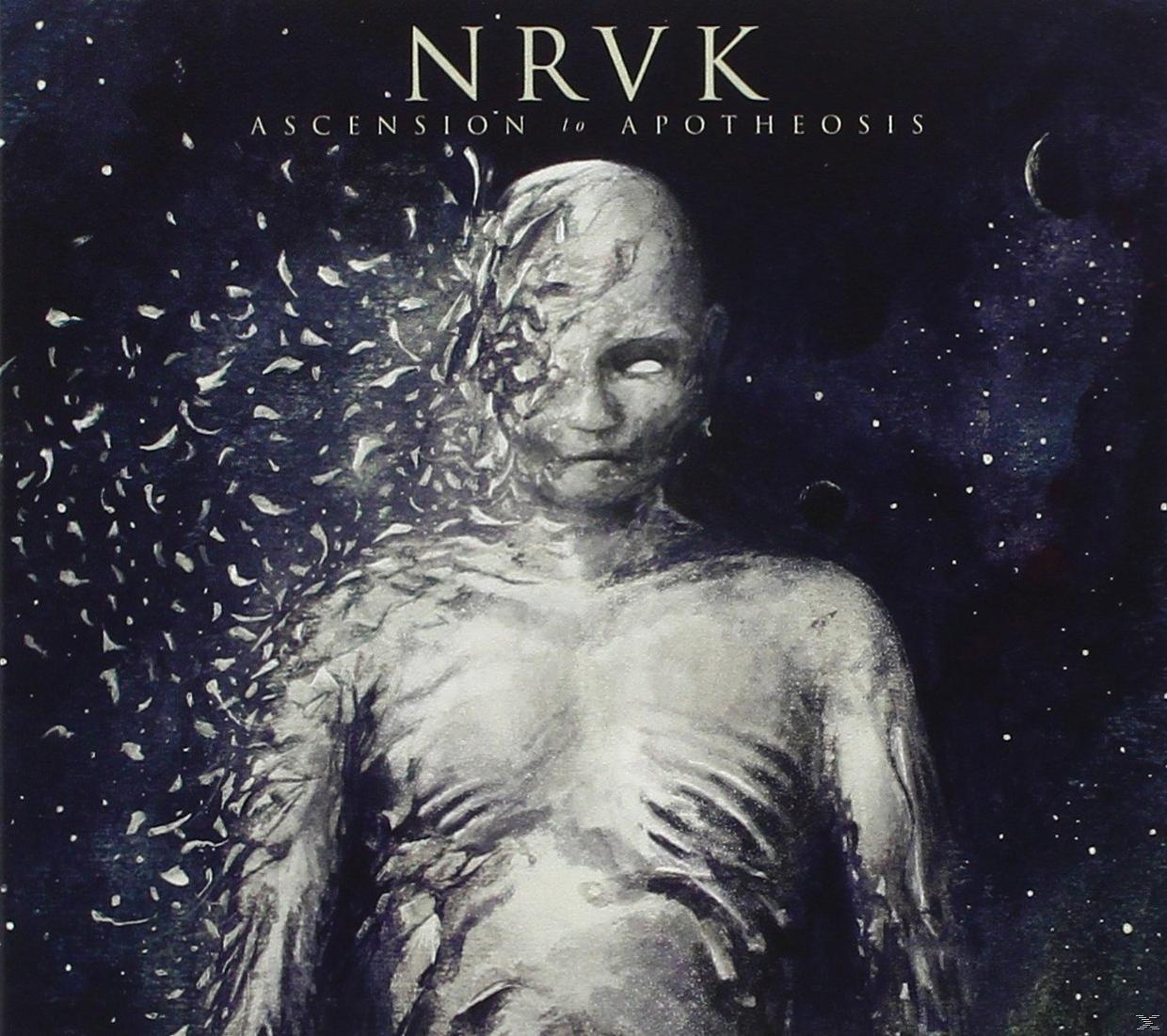 Narvik - Ascension To Apotheosis  - (CD)