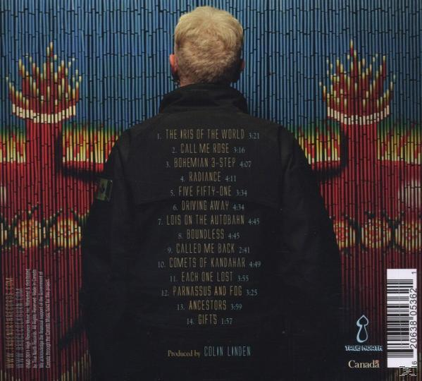 Bruce Cockburn - Small Source Of Comfort  - (CD)
