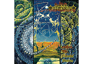 Dark Millenium - Ashore the Celestial Burden (Digipak) (CD)