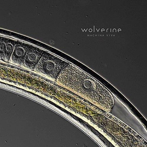 Wolverine - Machina Viva  - (CD)