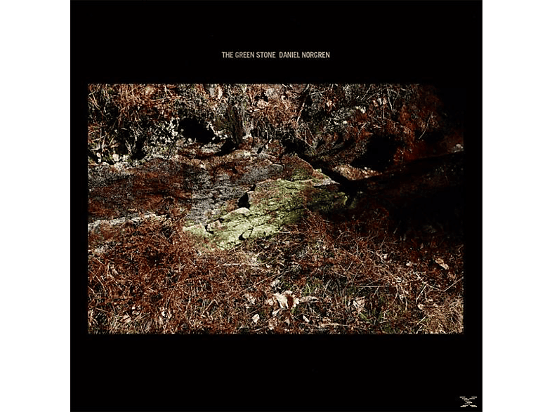 Daniel Norgren - Stone (Vinyl) - Green The