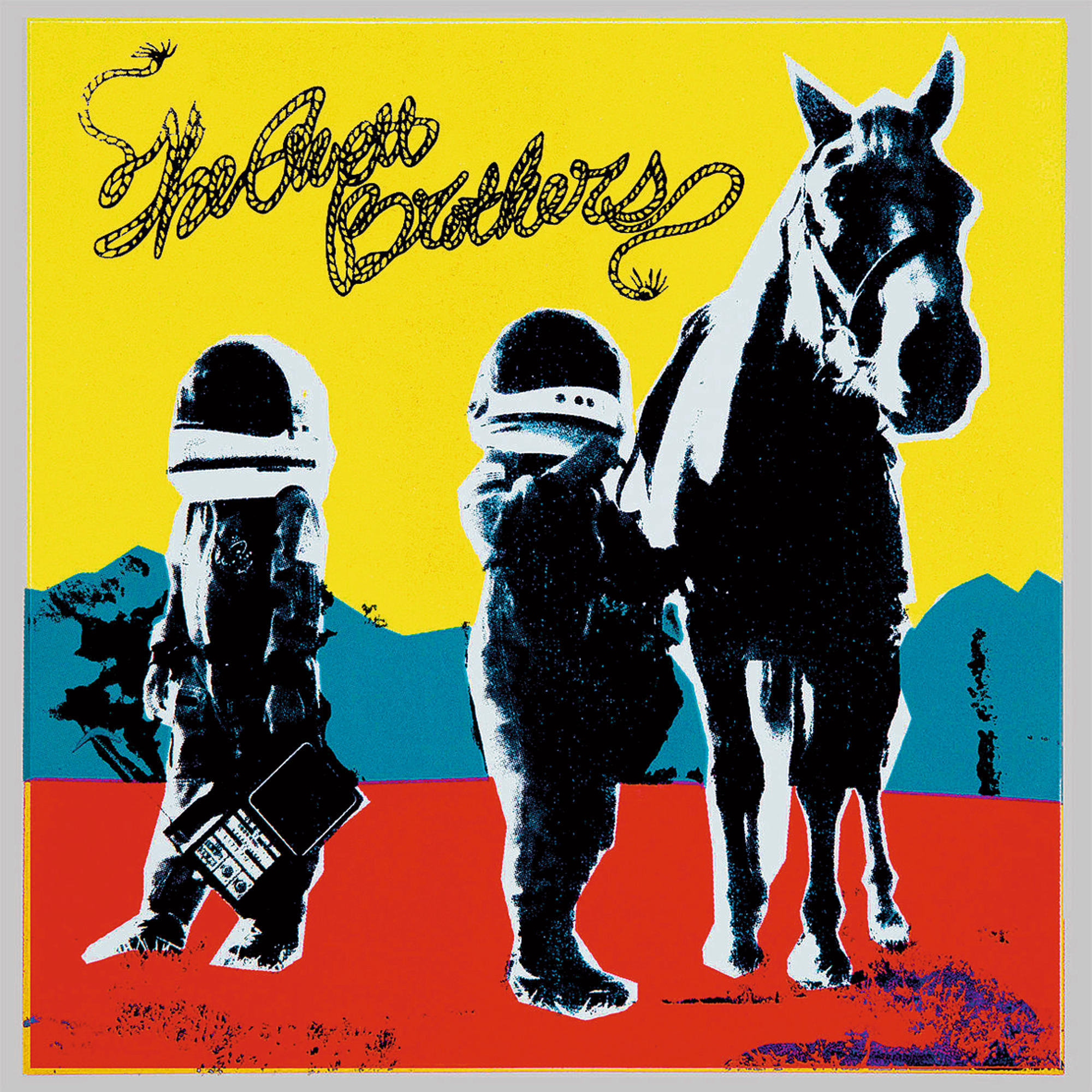 The Avett Brothers - True Sadness  - (CD)
