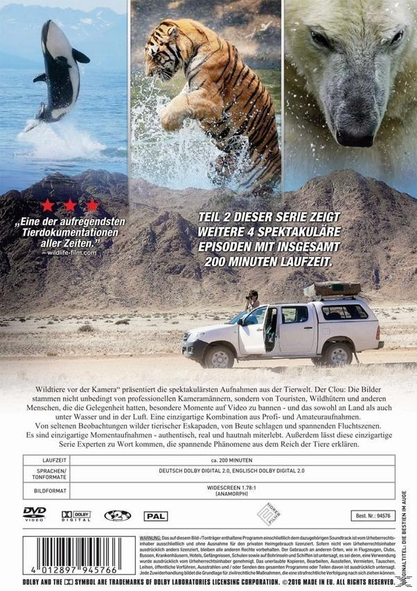Wildtiere vor der Kamera - Caught in the Act (Teil 2) DVD