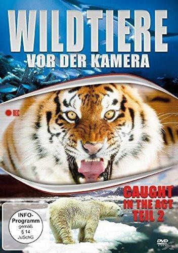 Caught Wildtiere in 2) Kamera - the DVD der (Teil Act vor
