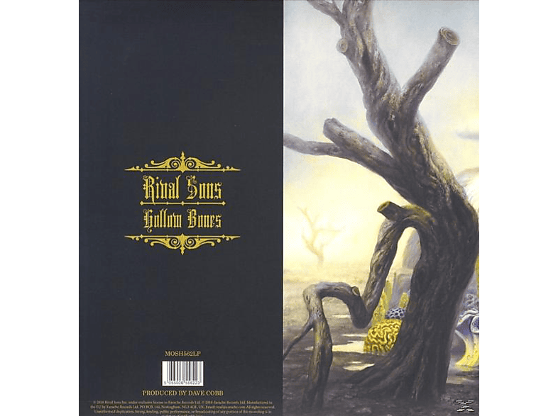 Thumbnail - Rival Sons - Hollow Bones (Vinyl)
