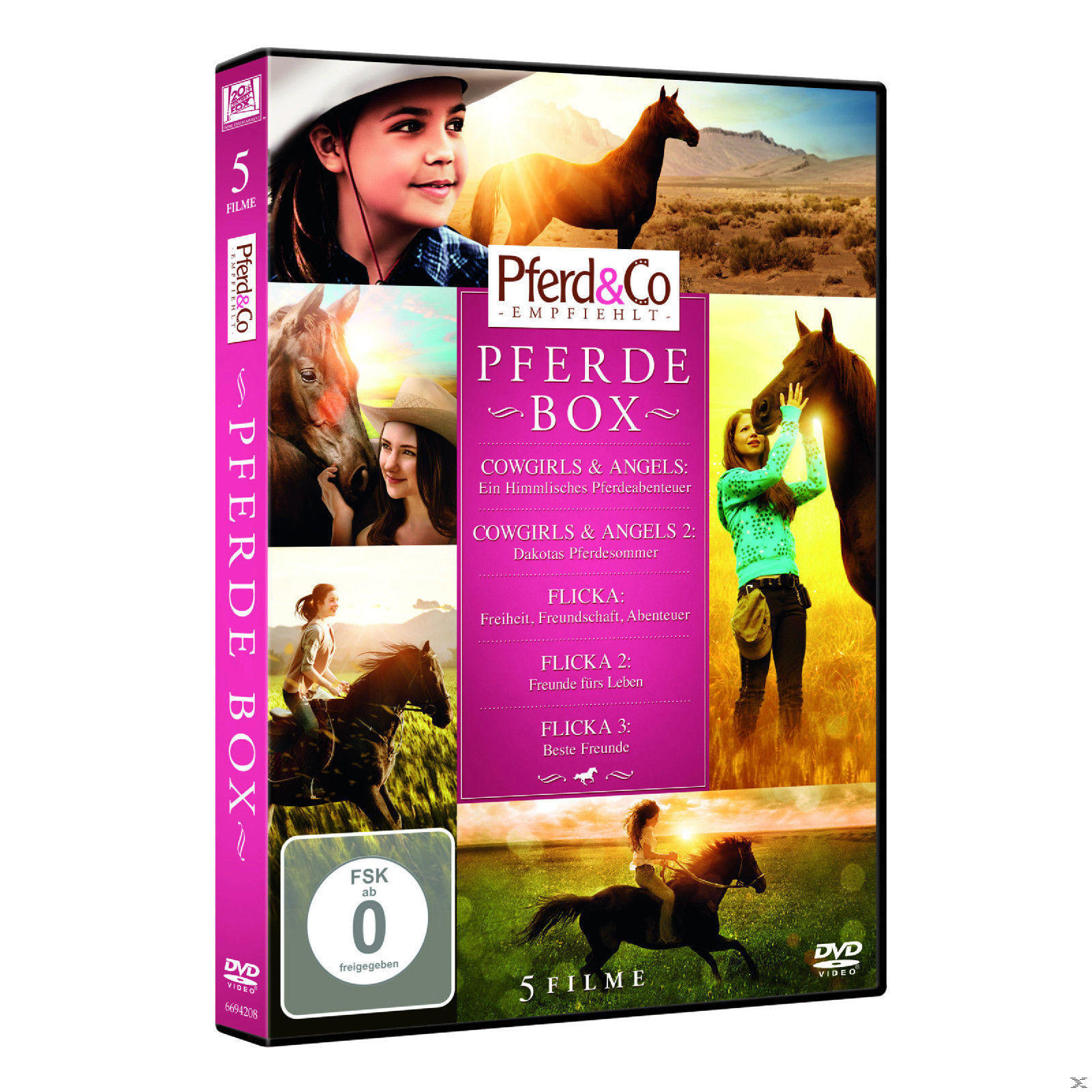 DVD-Hülle mit Cowboy und Pferden auf dem Cover. Text über den Film und eine Bewertung.
