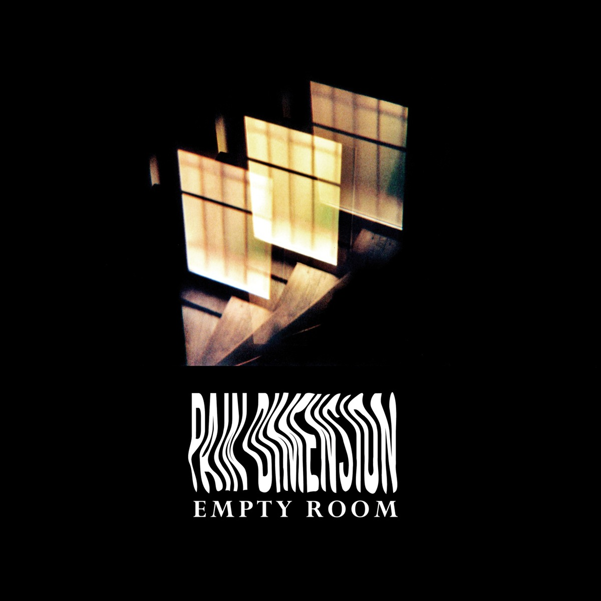 Pain Dimension - Empty Room - Limited Edition (Vinyl LP (nagylemez))