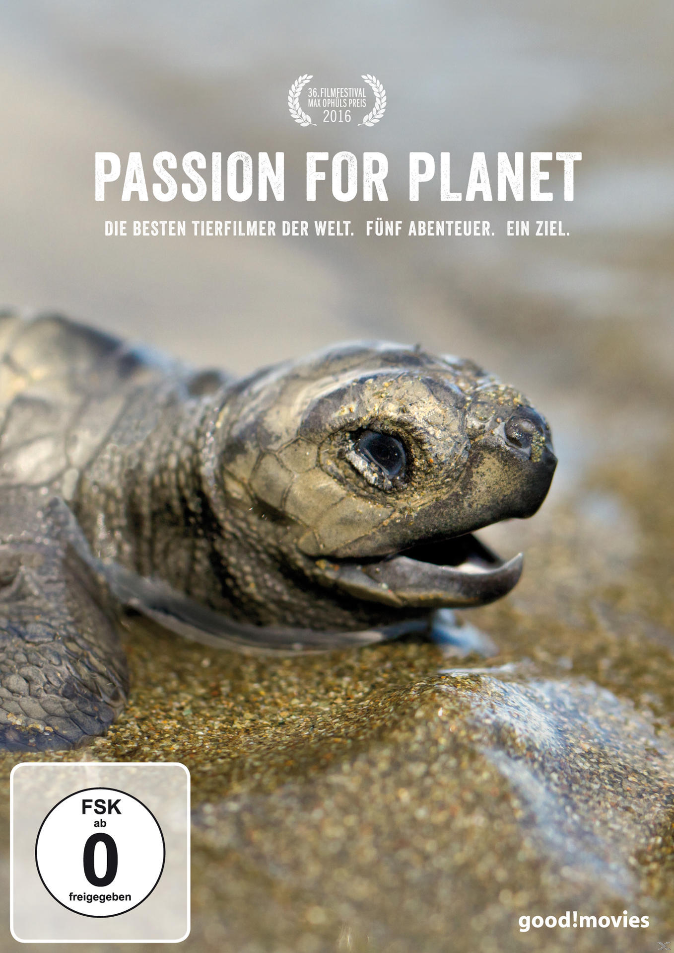 DVD for Planet Passion
