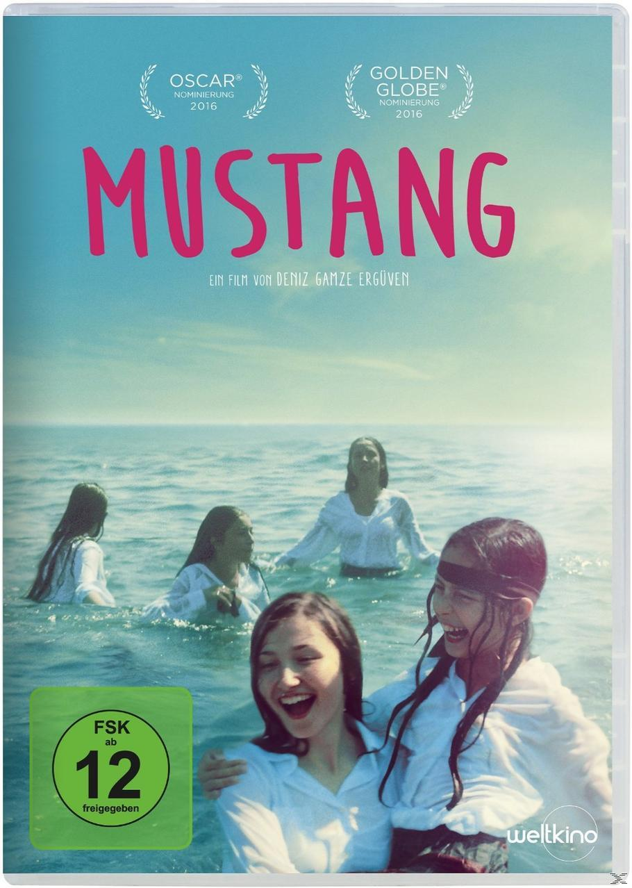DVD Mustang