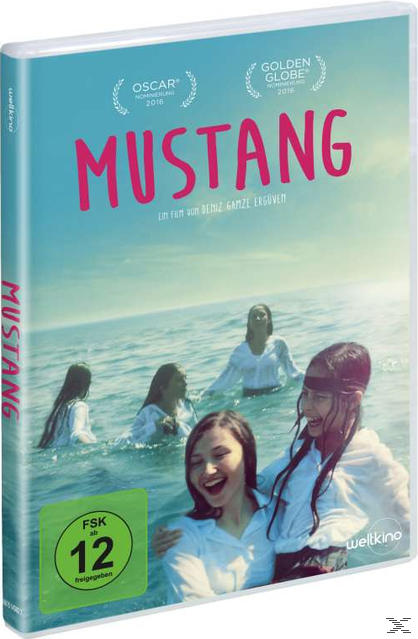 DVD Mustang