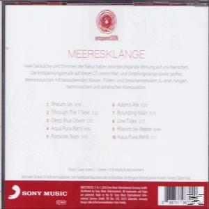 Rückseite einer CD mit Text über Meeresklänge und Lieder.