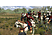 ARAL Mount & Blade Koleksiyon Paketi PC