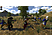 ARAL Mount & Blade: Ateş ve Kılıç PC