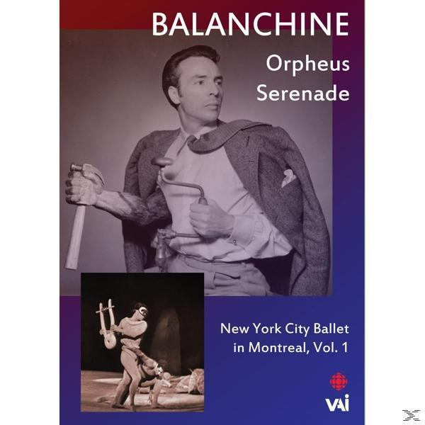 Jacques dÆAmboise, Diana Adams, - Serenade / - Verdy Violette (DVD) Orpheus