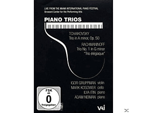 Gruppman - Piano Trios  - (DVD)