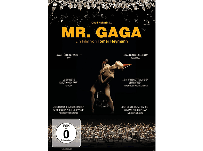 Mr. GAGA DVD