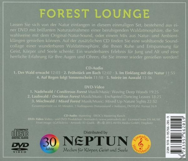 VARIOUS - Forest Lounge (Cd+Dvd)  - (CD + DVD Video)