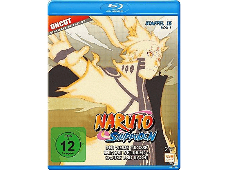 Naruto Shippuden Staffel 1-14.2 - Folge 1-320 (15 Sammelschuber) shops