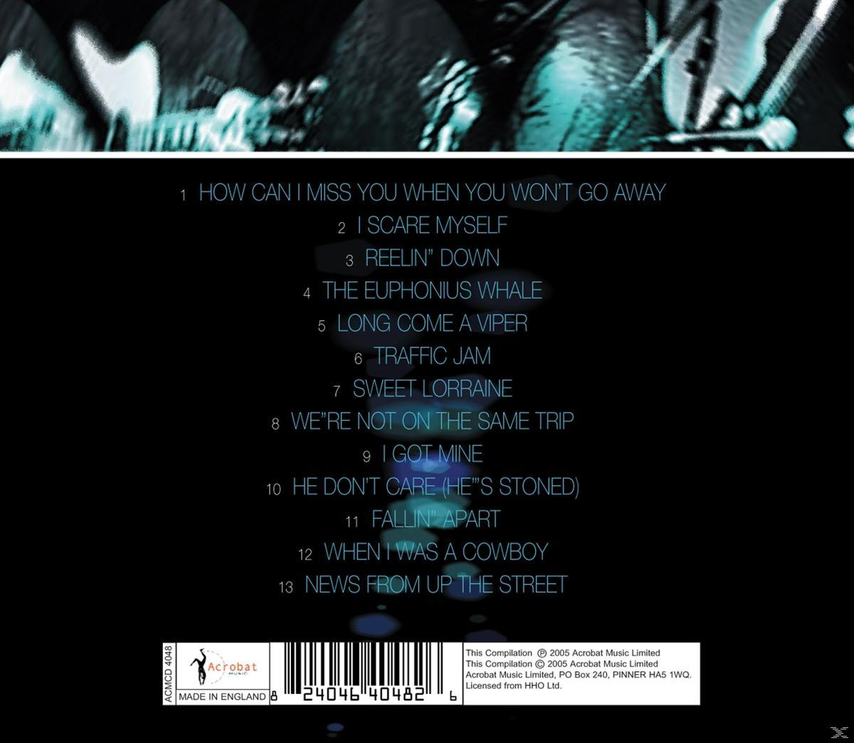 Dan Hicks - Live  - (CD)