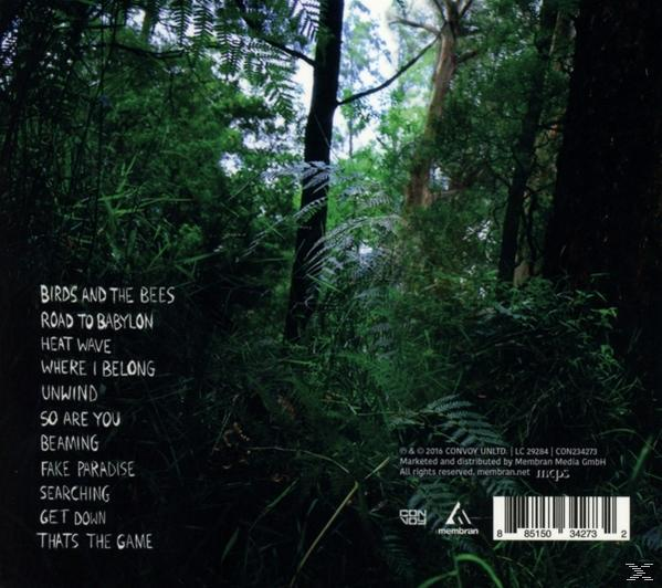 Dub Fx - Thinking Clear  - (CD)
