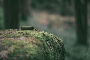 B&O PLAY Beoplay A1 Bluetooth Lautsprecher, Grün