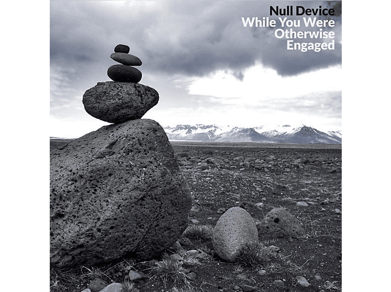 While You Were Device (CD) - Engaged Otherwise - Null