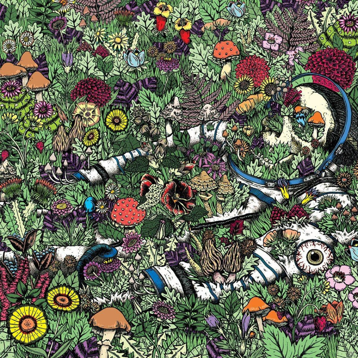 Oozing Wound - Whatever Forever  - (CD)