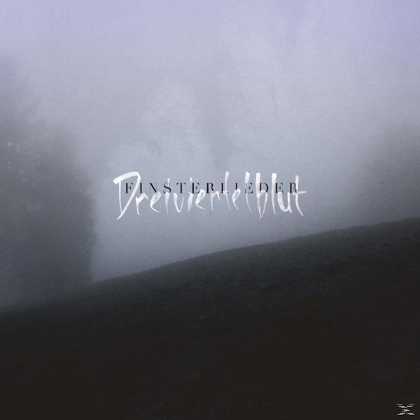 Albumcover mit einer nebligen Landschaft und Text in Schreibschrift. Der Titel lautet 'Finsterliedblut'.