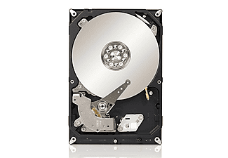 SEAGATE NAS HDD 3TB 3.5 inç 5900RPM Sata 3.0 64 MB 7/24 Nas Disk (ST3000VN000)