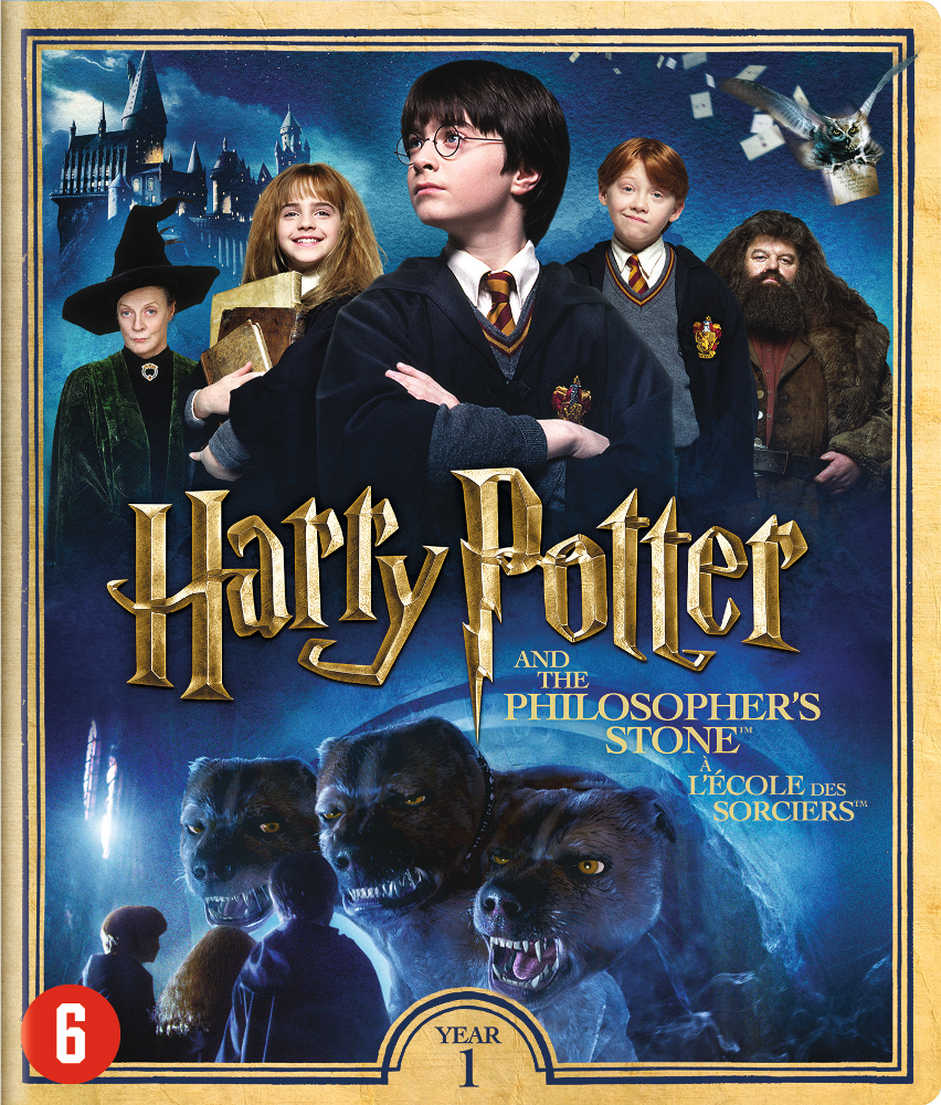 Harry Potter: De Steen der Wijzen - DVD