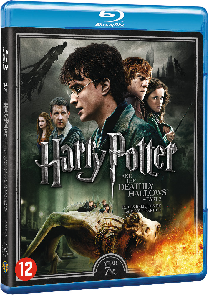 Couverture du film Harry Potter. Harry, Ron, Hermione et autres sur fond bleu.