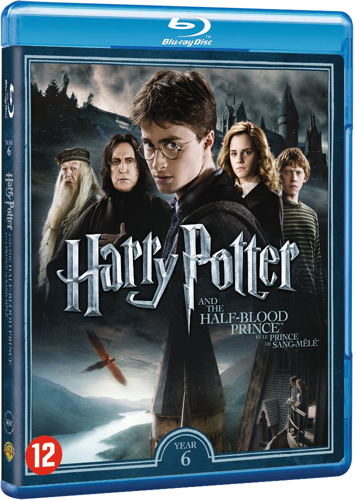 Couverture du film Harry Potter. Harry et d'autres personnages devant un château.