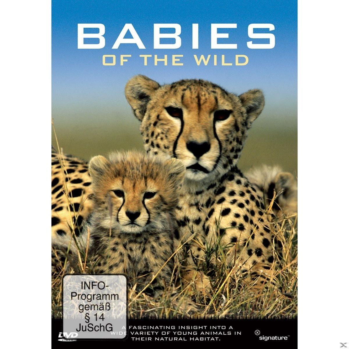 BABIES OF THE WILD DVD