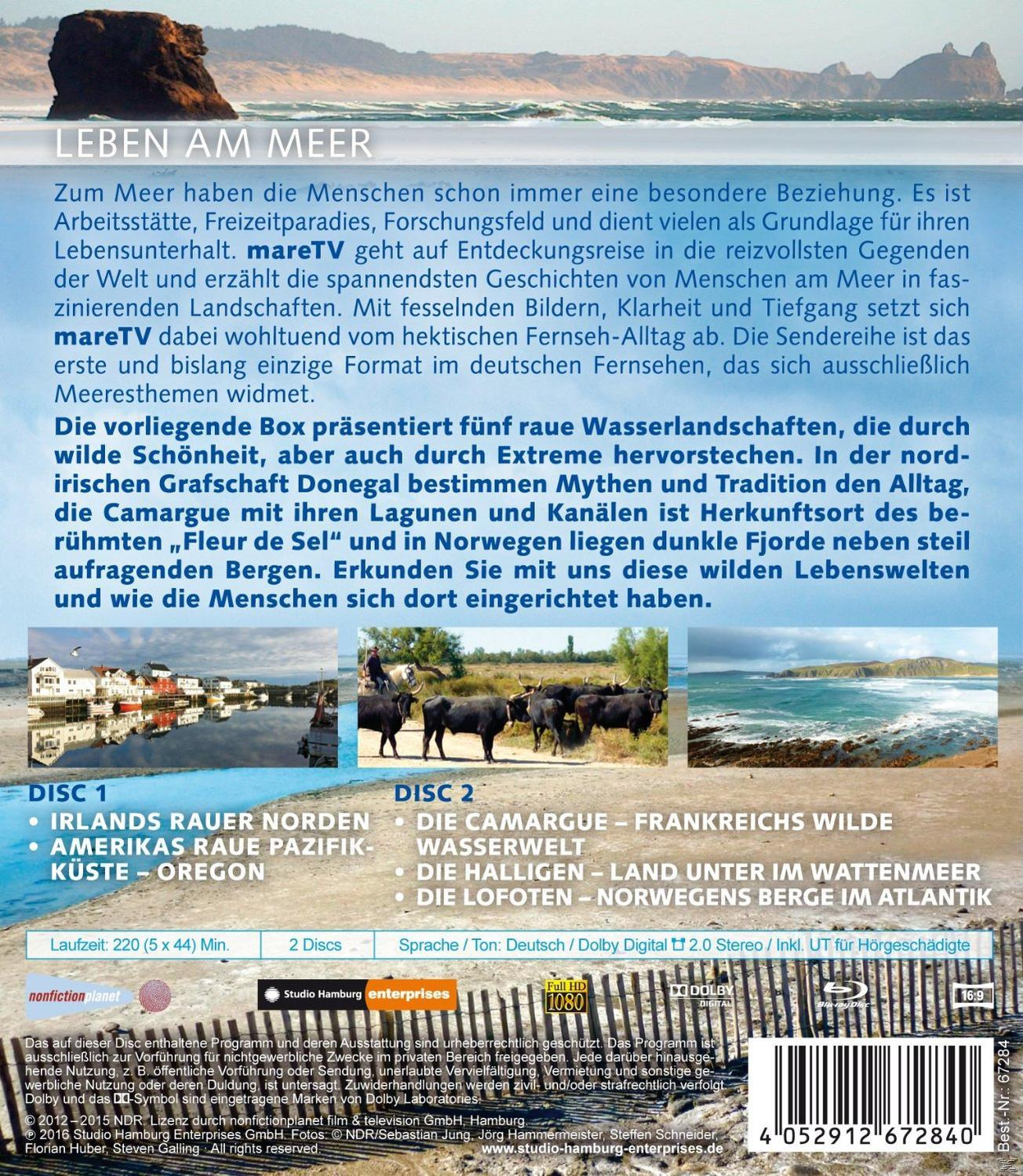 DVD-Box mit Küstenlandschaft, Text auf Deutsch und Bildern.