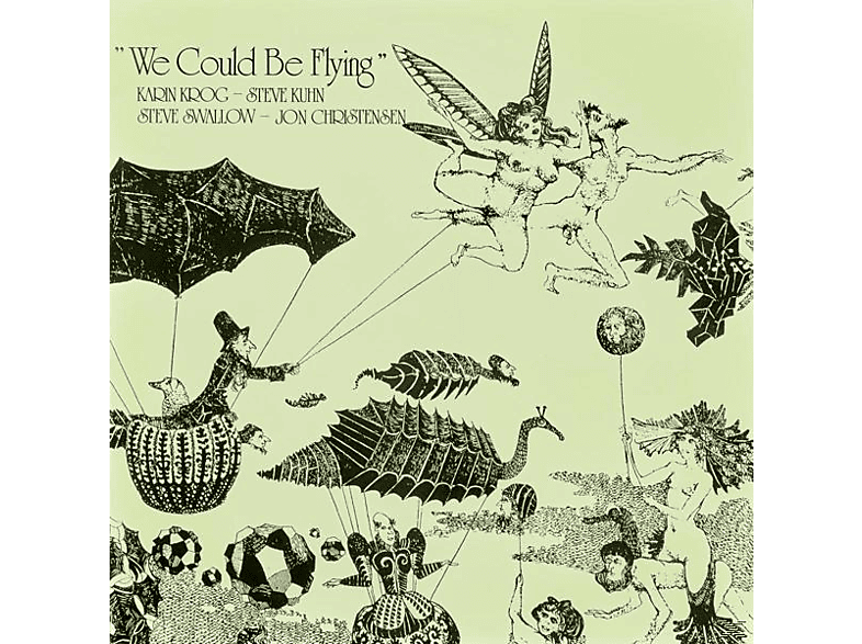 Karin & Kuhn & Swallow & Christensen Krog - We Could Be Flying  - (Vinyl)
