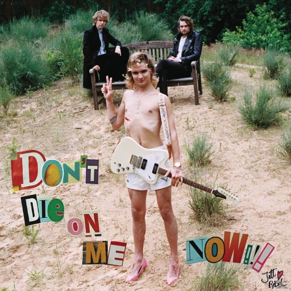 Albumhoes met man met gitaar in hakken, twee anderen zittend in bosachtige omgeving.