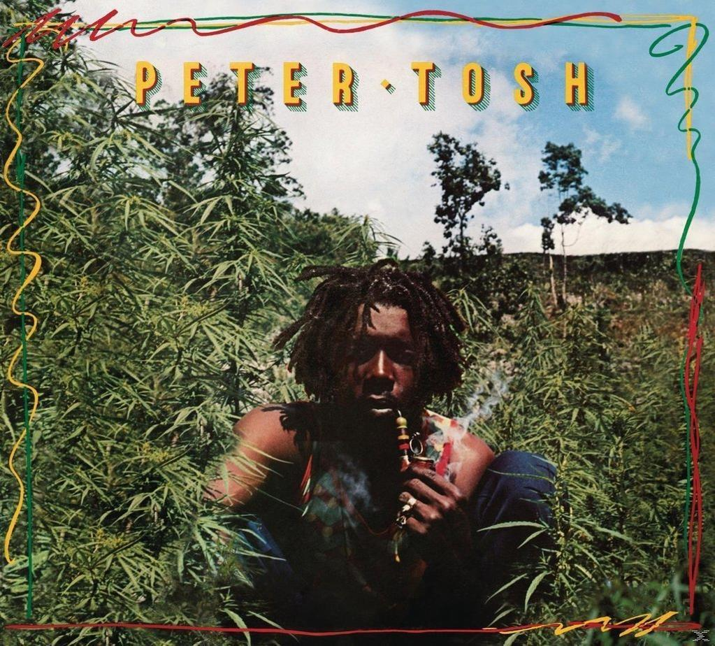 Peter Tosh Albumcover. Ein Mann mit Dreadlocks raucht. Umgeben von grünen Pflanzen und einem roten Rand.