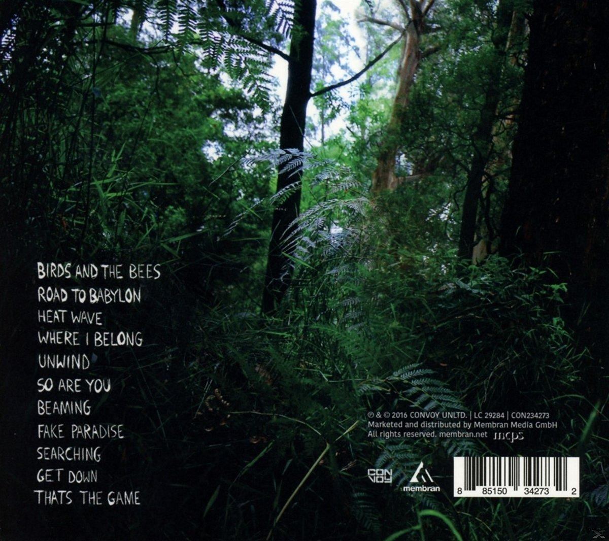 Dub Fx - Thinking Clear  - (CD)