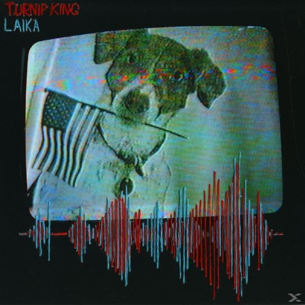 Ein Hund, der eine amerikanische Flagge im Maul hält, auf einem Fernsehbildschirm, darunter eine rote und blaue Welle.