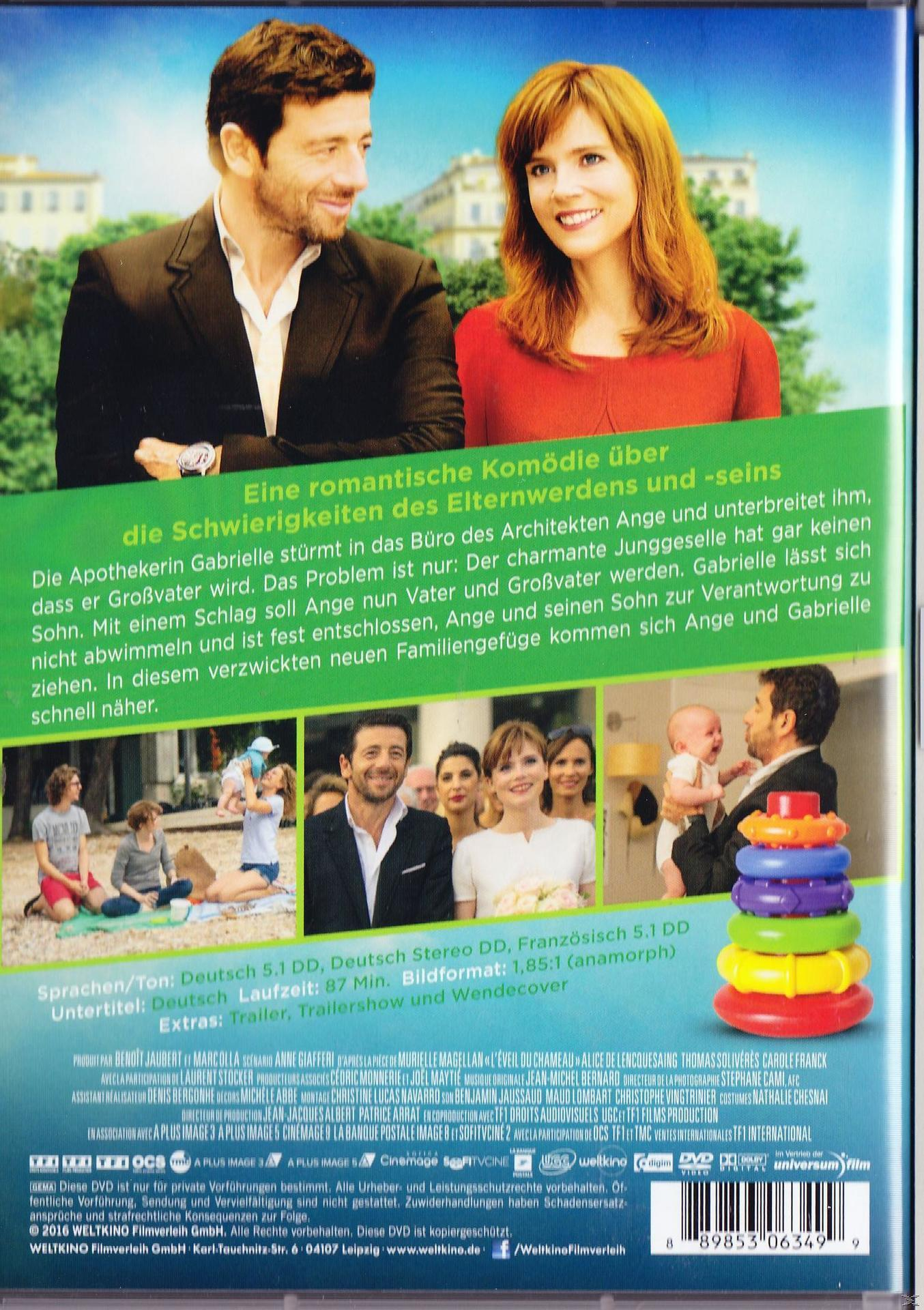 DVD-Cover mit einem Paar und einem Spielzeugturm.